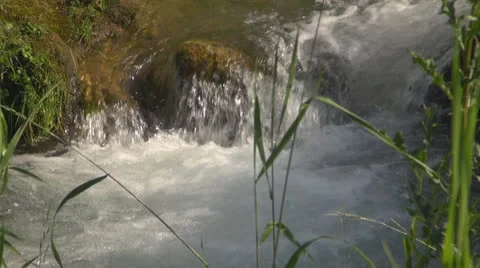 Crystalline creek in the forest 스톡 동영상 25591177