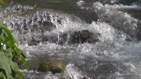 Crystalline creek in the forest 스톡 동영상 25591295