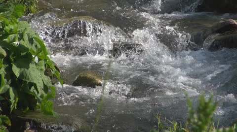 Crystalline creek in the forest 스톡 동영상 25591486