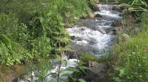 Crystalline creek in the forest 스톡 동영상 25591638