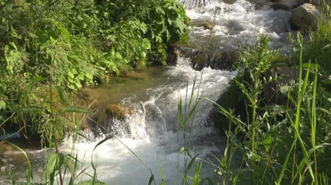 Crystalline creek in the forest 스톡 동영상 25591689