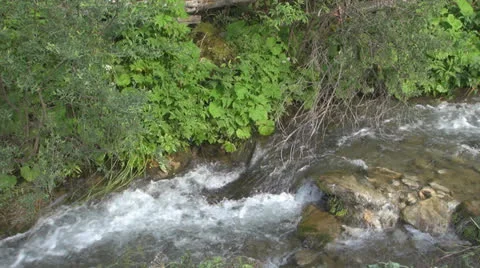 Crystalline creek in the forest 스톡 동영상 25591722