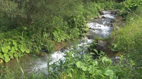 Crystalline creek in the forest 스톡 동영상 25591728