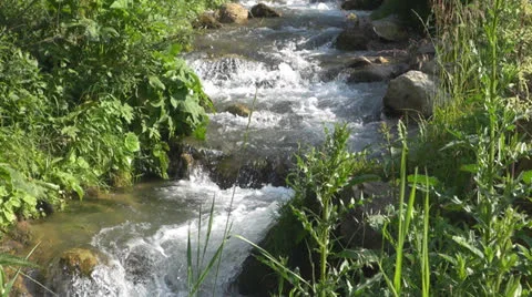 Crystalline creek in the forest 스톡 동영상 25591844
