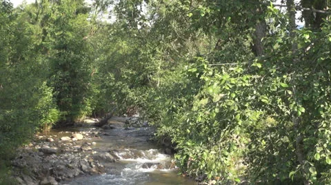 Crystalline creek in the forest 스톡 동영상 25591922