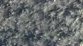 Crystalline Ice Pattern 1a HD Footage