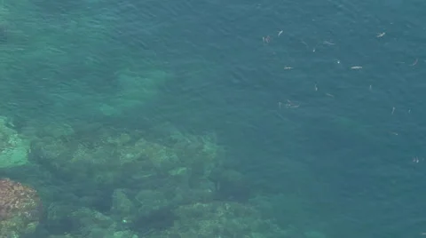 Crystalline waters Stock Footage 58107591