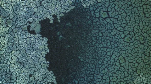 Crystallization. Chemical Reaction under Microscope 스톡 동영상 88671204