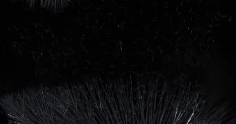 Crystallization Stock Footage 174914169