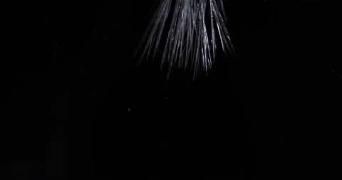 Crystallization Vidéo 174922027