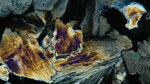 Crystallization Microscopic timelapse Acetum Chemical Process 스톡 동영상 88664965