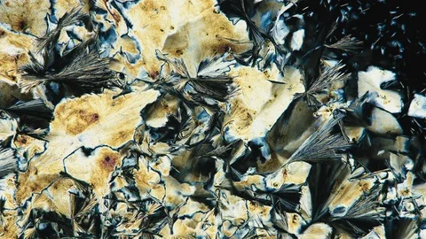 Crystallization. Microscopic timelapse. Chemical Process Stockbeeldmateriaal 88665916