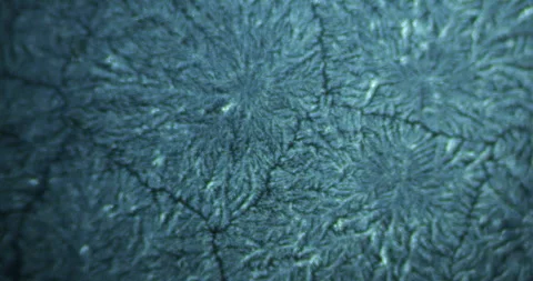 Crystallization unfolds under a microscope, revealing the transition of a Stock Footage 291716515