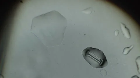 Crystallization of water drops Stock Footage 60563579