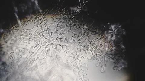 Crystallization of water into a snowflake and melting. Top view under a microsco Stock Footage 233428378