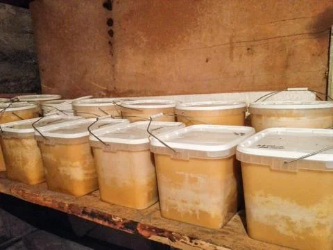 Crystallized honey Stock Photos