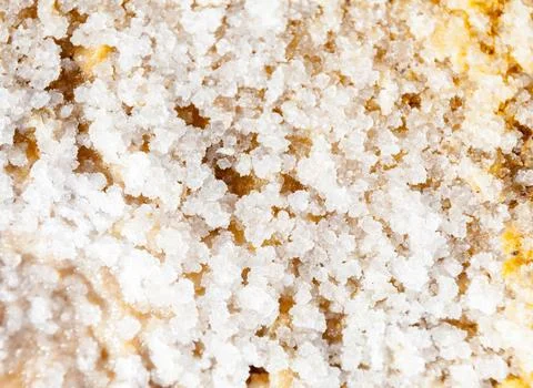 Crystallized salt on the earth Stock Photos