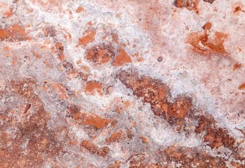 Crystallized salt on the earth Stock Photos