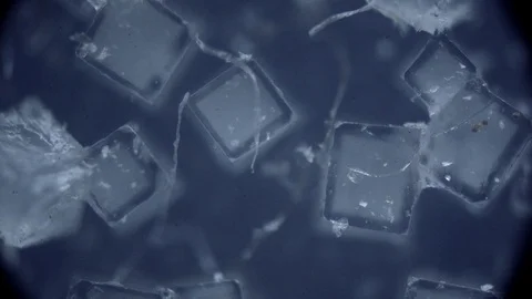 Crystallized surface is taken under a microscope Stock Footage 129415197