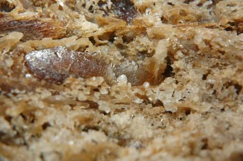 Crystals in the cave Foto stock