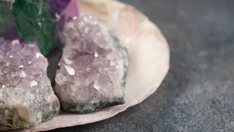 Crystals displayed on a shell for close view Stock Footage 329083229