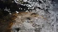 Crystals Flake Icy Abstract Macro Partially Frozen Water Flow Ice Flowers Winter HD Footage