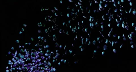 Crystals fly diamonds motion 4 k video phot template on a black background Stock Footage 149887074