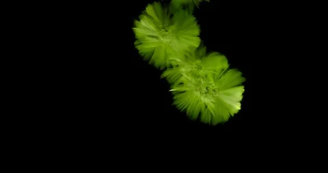 Crystals growth. Stock-Footage 90559873