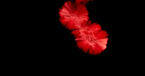 Crystals growth. Stock Footage 90562737