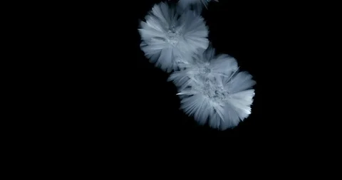 Crystals growth. Stock Footage 90616788