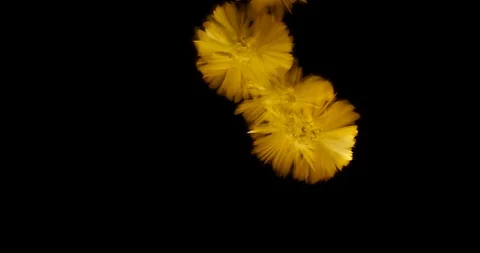 Crystals growth. Stock Footage 90622590