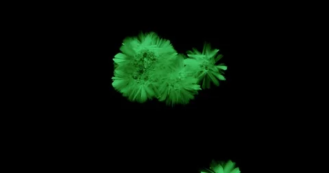 Crystals growth. Stock Footage 90710954