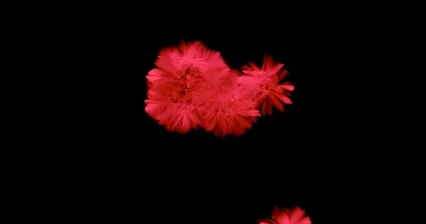 Crystals growth. Stock Footage 90753201