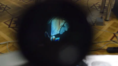 Crystals in Micro Stock-Footage 32722252