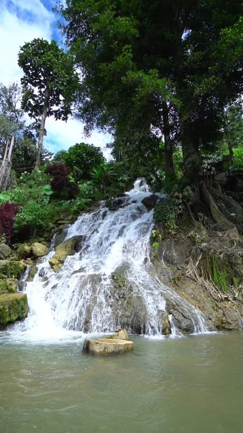 CS - Beautiful portrait video of a vertical waterfall Stock Footage 238638863