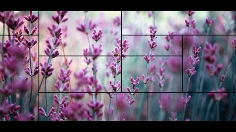 CS4: Simple, dynamic slideshows - portfolio - 6 Stock After Effects
