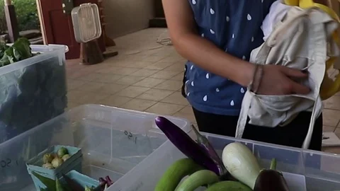 CSA SHARE COOP Video stock 102742937