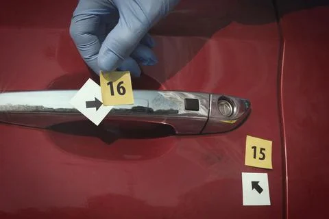 CSI - searching and developing of fingerprints on place of murder in car Stock Photos