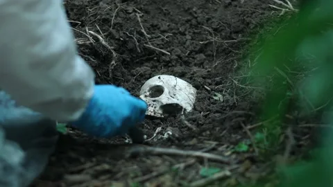 CSI Uncovering Human Skull Remains Buried, Police Crime Scene, 4K Stock Footage