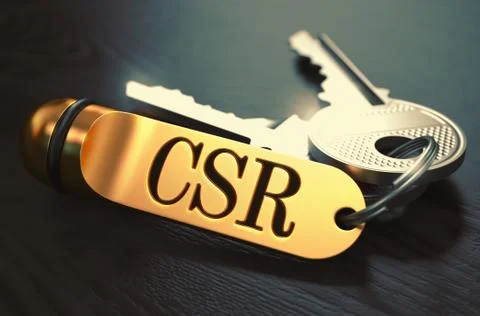 CSR - Bunch of Keys with Text on Golden Keychain Stock Illustration