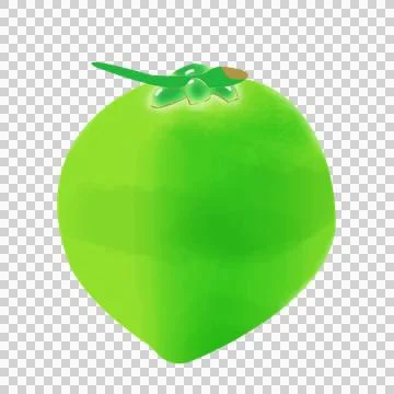 Cst coconut Stock Illustration