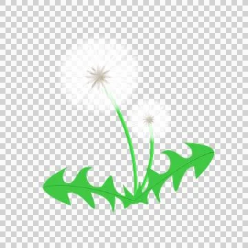Cst dandelion Stock Illustration