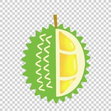 Cst durian Stock Illustration