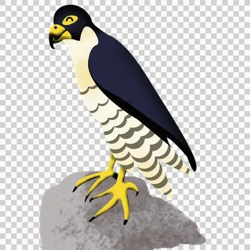 Cst falcon Stock Illustration