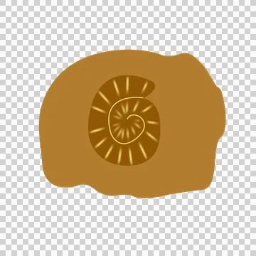 Cst fossil Stock Illustration