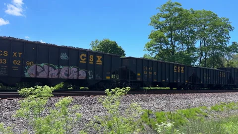 CSX Coke train on rural train tracks in the midwest Stock Footage 313142575