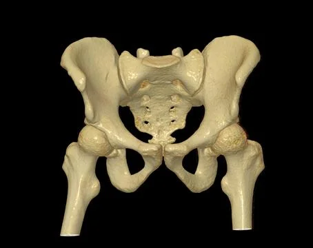 CT scan of Pelvic bone and hip joint 3D rendering for diagnosis fracture of P Stock Illustration