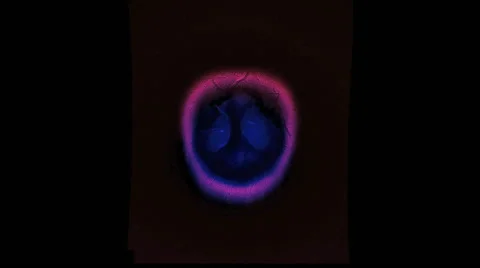 CT scan of a woman's head Stock-Footage 64803767