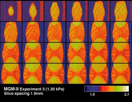 CT scans of the spcimens on STS-79 reveal internal cone-shaped features and.. Stock Photos