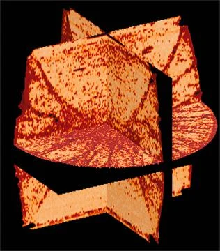 CT scans of the specimens on STS-79 reveal internal cone-shaped features a... 스톡 사진